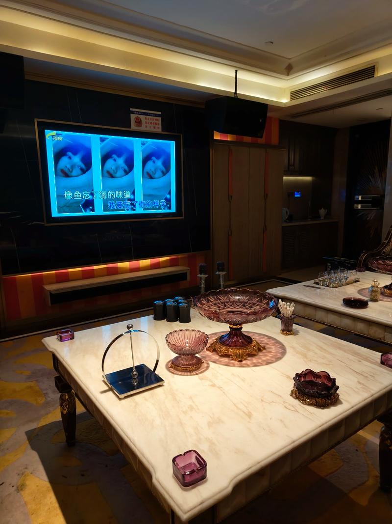 宿迁商务ktv计时攻略-宿豫区ktv预订